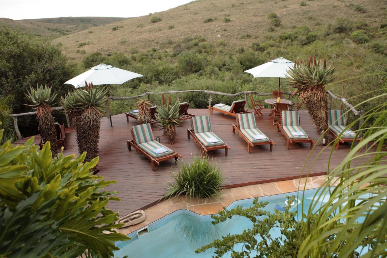 Lalibela Game Reserve Lentaba Safari Lodge Paterson Dış mekan fotoğraf