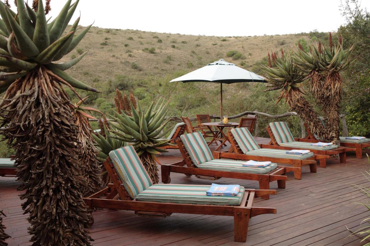 Lalibela Game Reserve Lentaba Safari Lodge Paterson Dış mekan fotoğraf